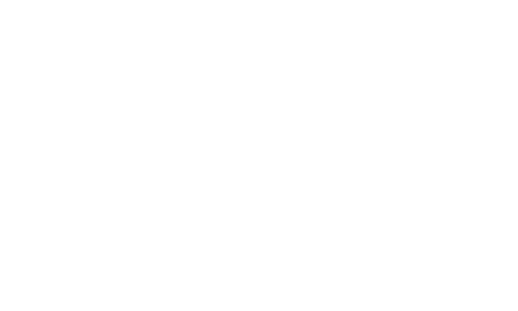 Precium logo