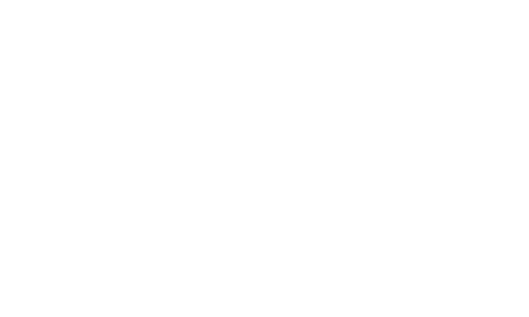 Vribble logo